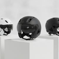 Trailblazer Pro Helmet